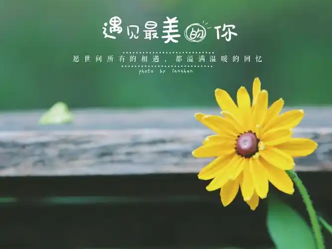 盛夏,遇见最美的你