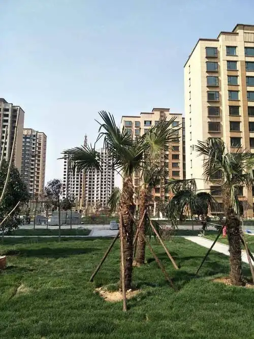 秦皇丽景售楼处电话有吗?」- 滨州房产超市