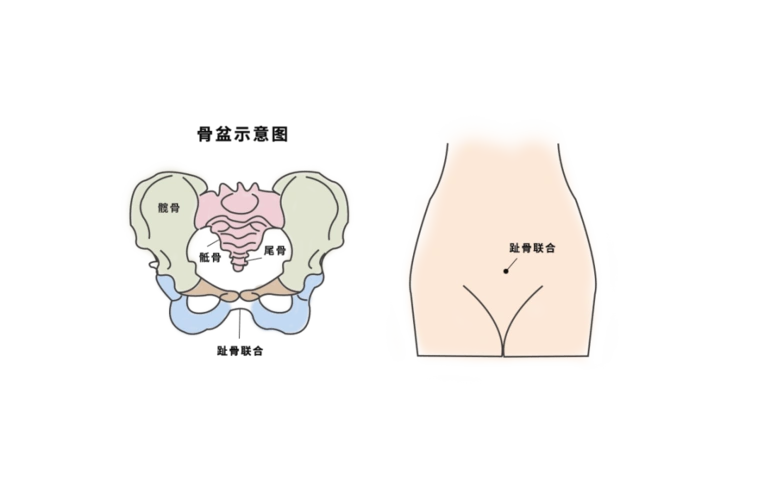 排空膀胱,平躺在床上,测量耻骨联合处上方至子宫底之间的长度.