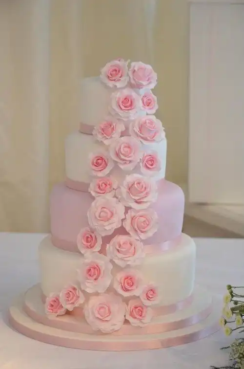 粉色玫瑰圆的婚礼蛋糕