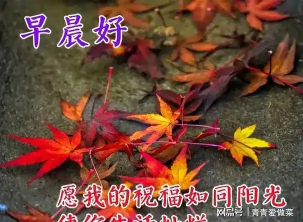 最美早上好祝福图片温馨带字微信清晨早上好问候语