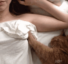 动态图片_gif搞笑图片_真人恶搞图片_第23页_表情党