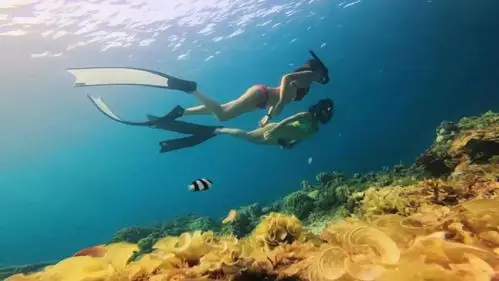 听起来是不是有些恐怖和危险,当然,如果只是为了休闲,娱乐,拍一拍海底