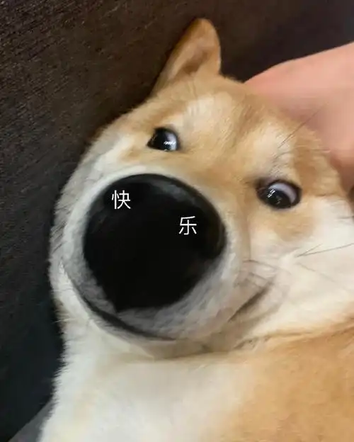 搞笑表情包更新他也太可爱了吧