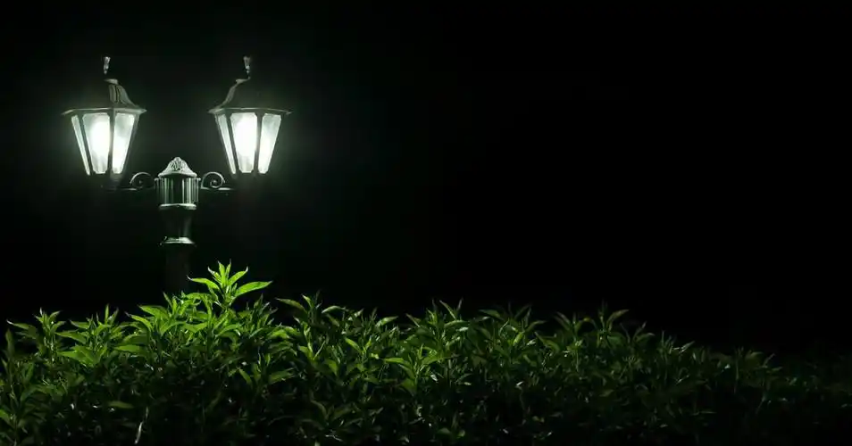 夜晚路灯唯美迷人图片