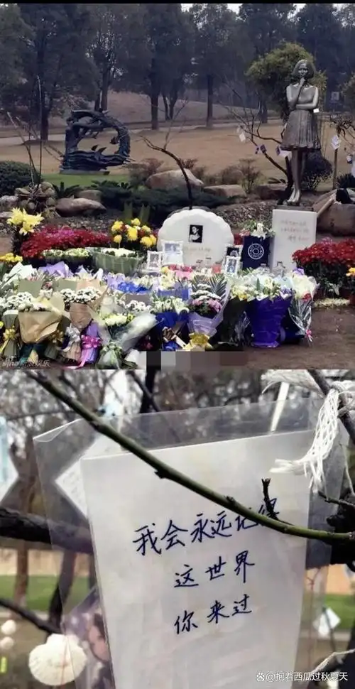 姚贝娜墓地冷清的现象让人深感唏嘘,它不仅反映了人们对明星的怀念