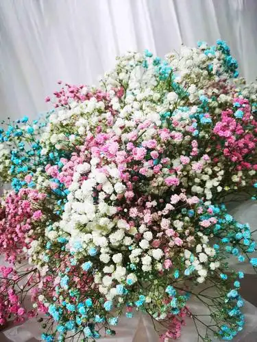 【爱的告白】三色甜蜜满天星花束 七夕推荐 - 小丑鲜花