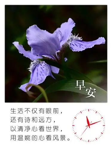 自制早安图集锦 - 美篇