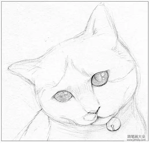 素描画猫简笔画