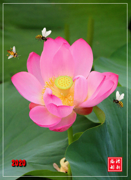 732_1000竖版 竖屏gif 动态图 动图