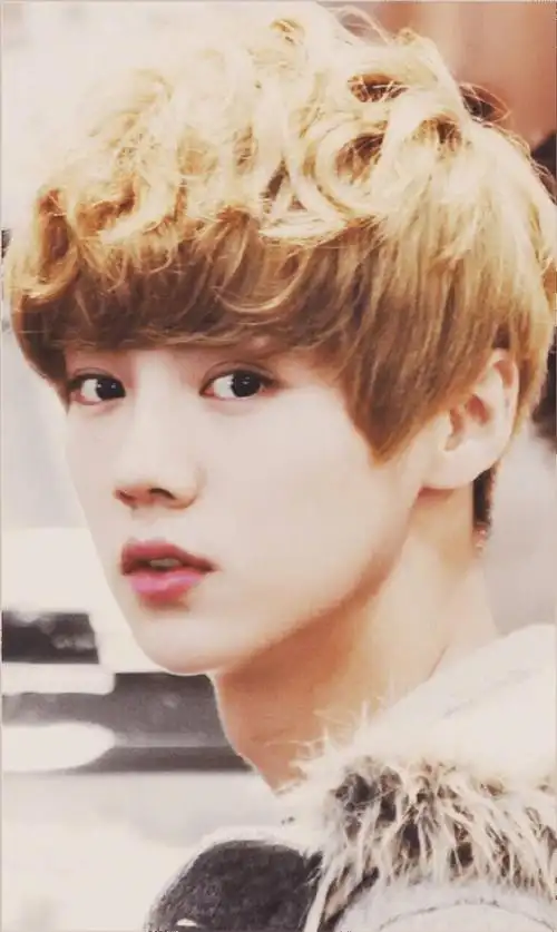 鹿晗金发卷毛造型曝光,和八年前毫无差距,31岁怎么还这么年轻