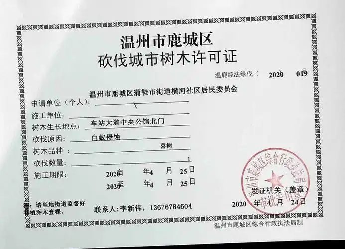 蒲鞋市中队〕一张特殊的树木砍伐许可证