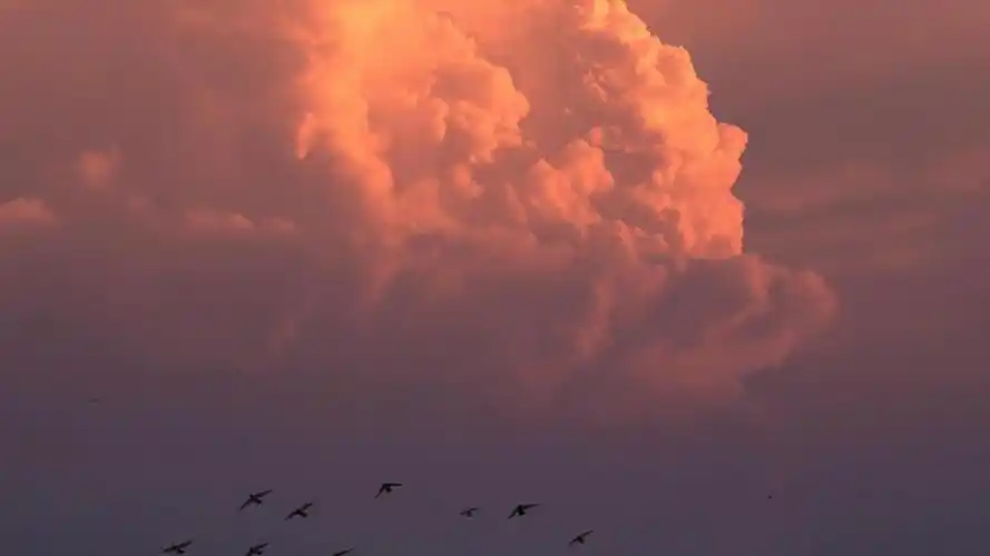 傍晚绝美的天空云彩,高清壁纸,风景图片-回车桌面