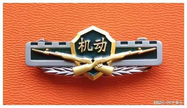 毛启国漫谈武警部队废止的22种16式胸标