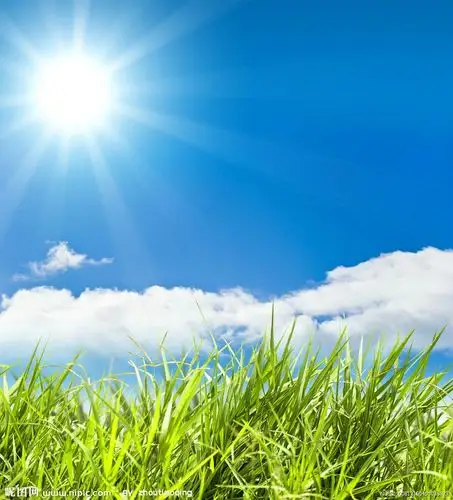 今天,天空晴朗,阳光明媚.