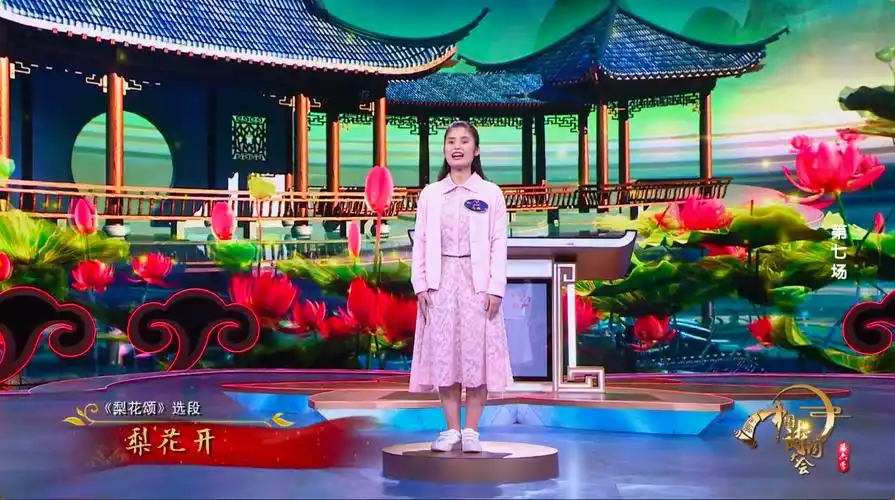 中国诗词大会第六季以诗为伴感受春意下的百味人生