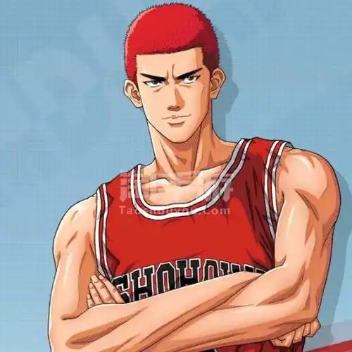 灌篮高手安卓官方标准pf寸头福田花型角田有公园球场