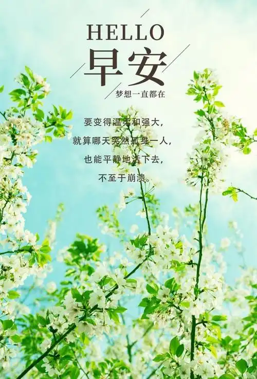 微信超火的早安短句子,发朋友圈早安精致短句,句句经典正能量!