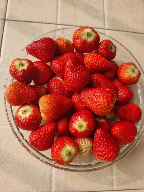 再也不跟风在网上买草莓了