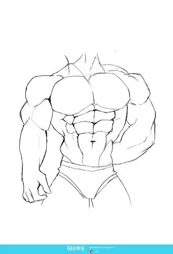《临摹男性肌肉—角色人物肌肉绘画训练》by 卡蜜尔