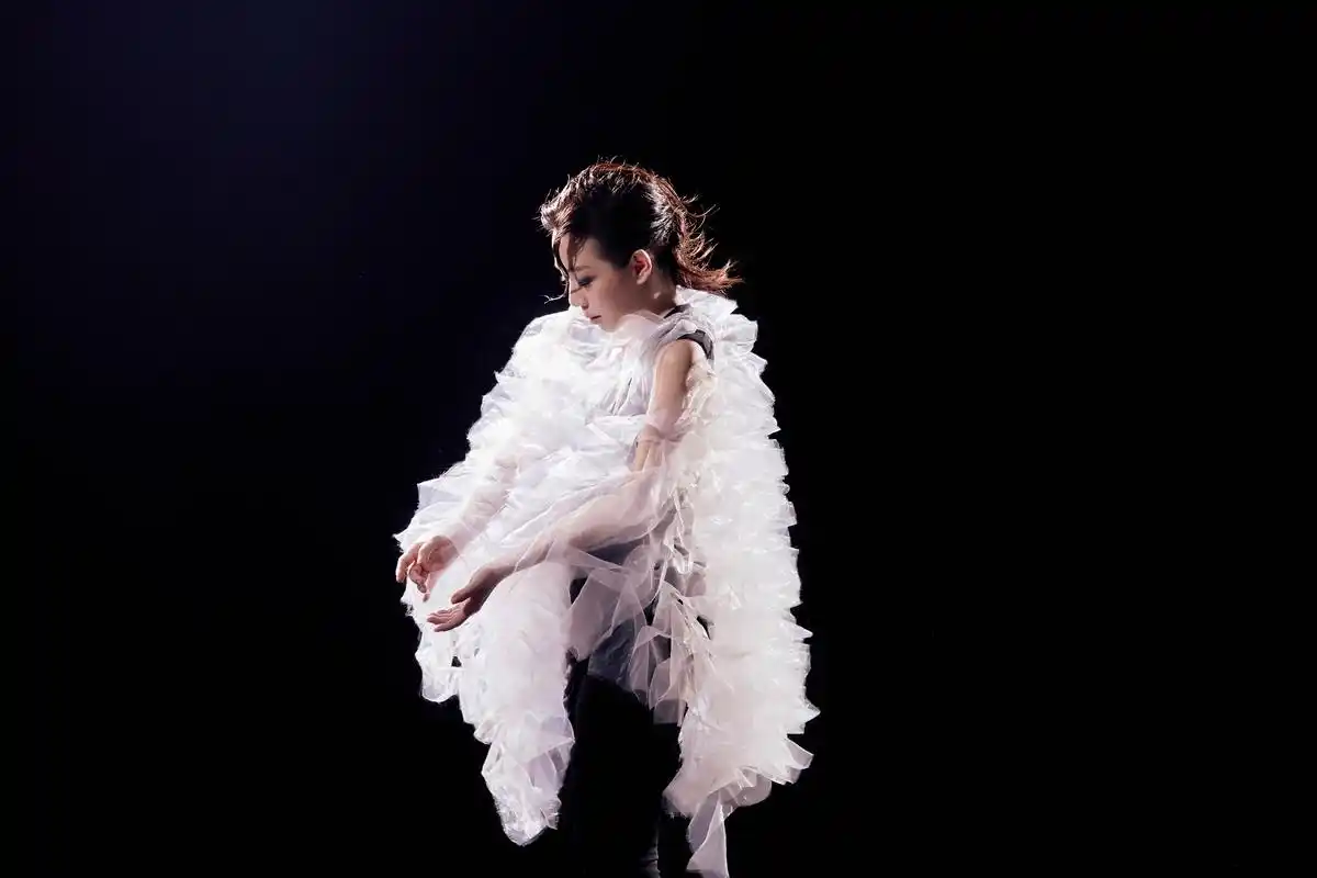 林忆莲 小寒 常石磊 tutus x bears 黄中平