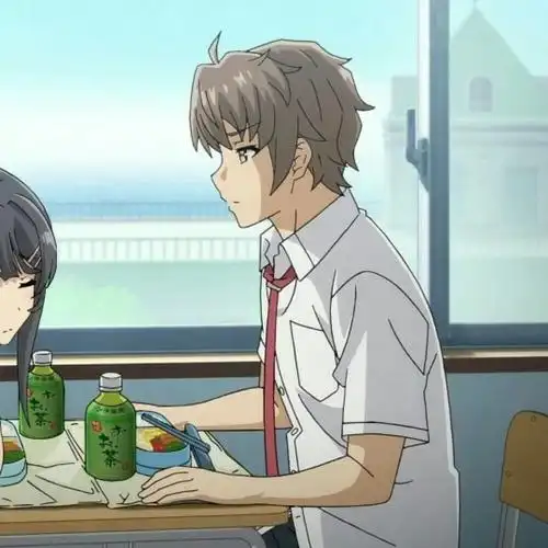 梓川咲太79樱岛麻衣