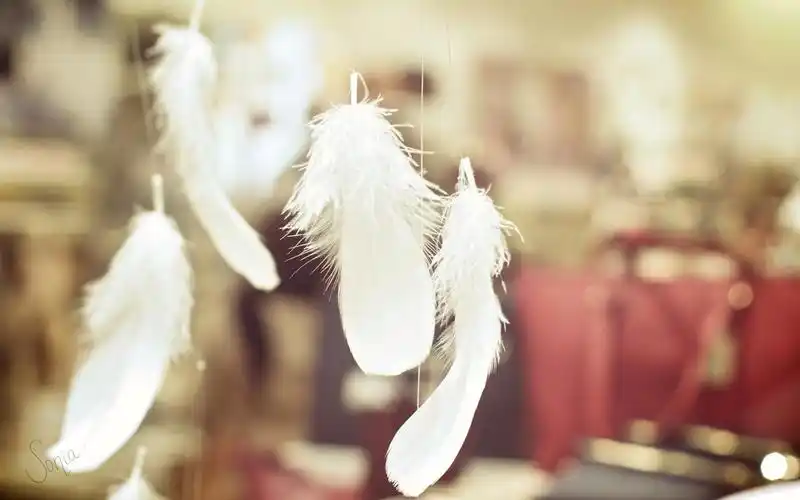 简约文艺复古唯美意境图片桌面壁纸高清大图预览1440x900_风格壁纸