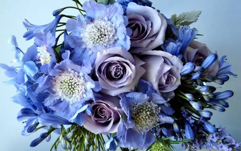 壁纸 紫玫瑰,花束,花朵 2560x1600 hd 高清壁纸, 图片, 照片