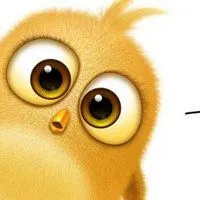愤怒的小鸟萌萌哒头像 大眼萌愤怒的小鸟头像_微信头像图片大全