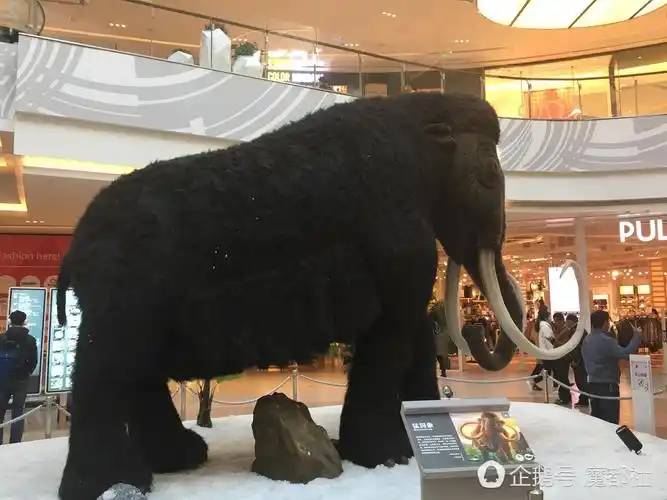 上海一商场惊现仿真恐龙群展造型逼真引围观