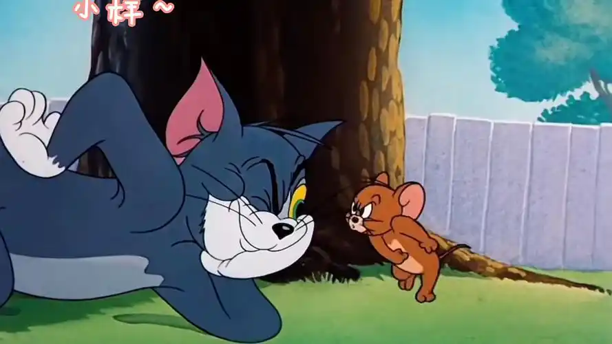 谁能拒绝这样的汤姆和杰瑞呢