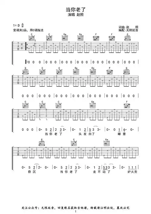 赵照《当你老了》吉他谱_c调精编原版吉他谱