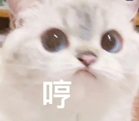 求一个哼的表情包