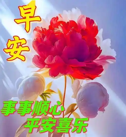 早上好,精选早安暖心祝福图片带字早上好问候语_天都_人生_阳光