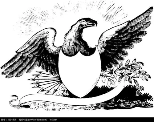 张开双翅的老鹰插画设计