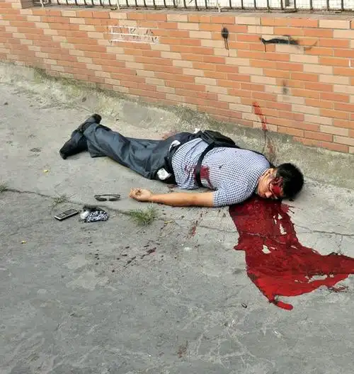 【转载】刘植荣:对击毙周克华案的18点质疑(组图)