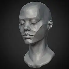 头部--体块结构-花瓣网|陪你做生活的设计师 | 切面素描石膏头像三分