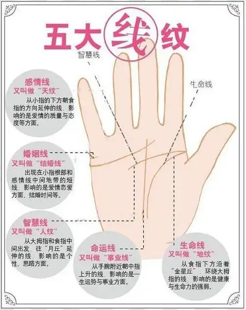 手相图解大全女右手金星丘