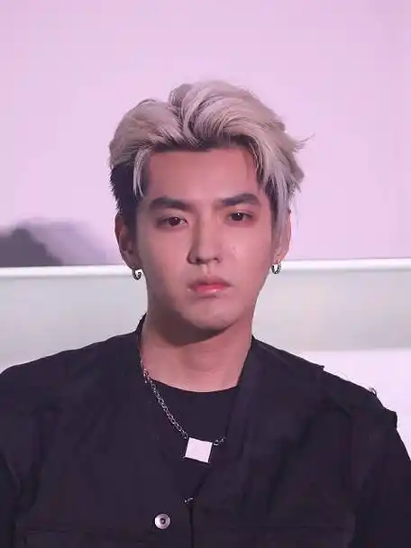 吴亦凡公司因代言费被强执1896万##吴亦凡公司因华帝代言纠纷被强