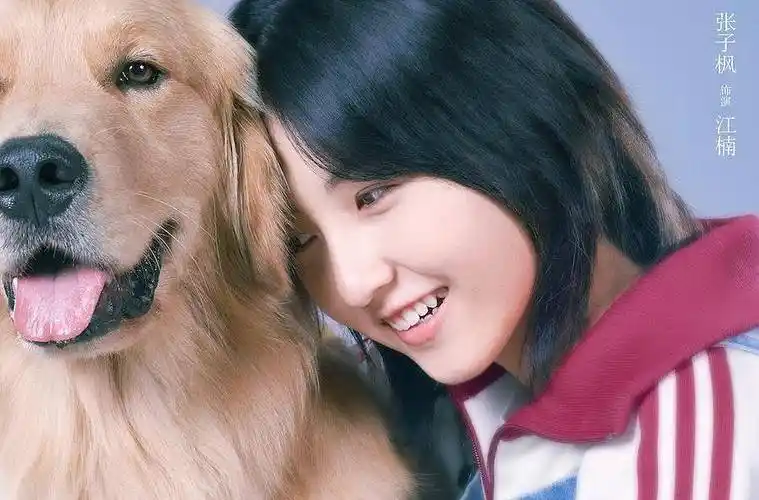 吴磊劈叉拥抱张子枫,偶像剧的颜值,喜剧的画风_实力派_故事_电影