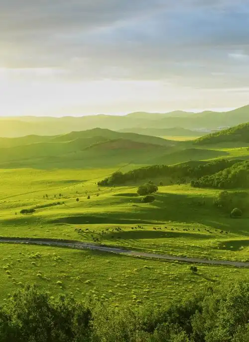 呼伦贝尔草原最美?一百万锡林郭勒人不服!