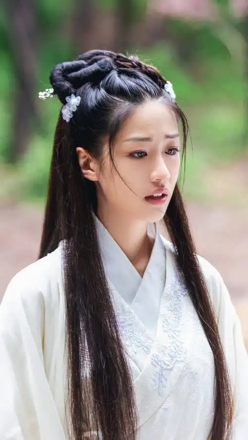 公子,我娶定你了 叶小棠 向涵之