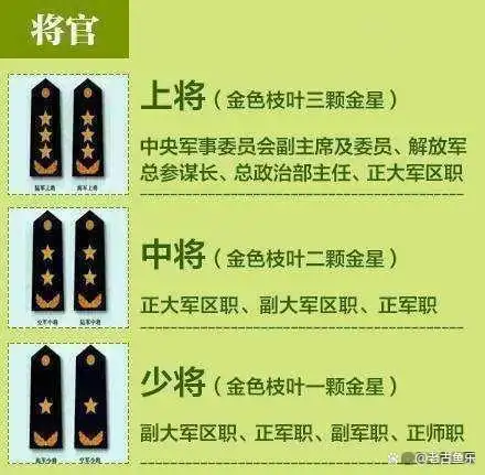 士兵衔级施行新制度再见四级军士长你好一级上士