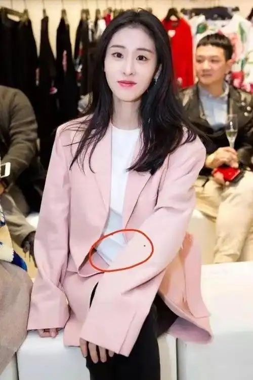 包含张碧晨疑挺肚录节目的词条