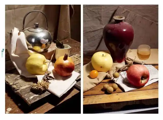 2017精湛素描静物照片新书上市