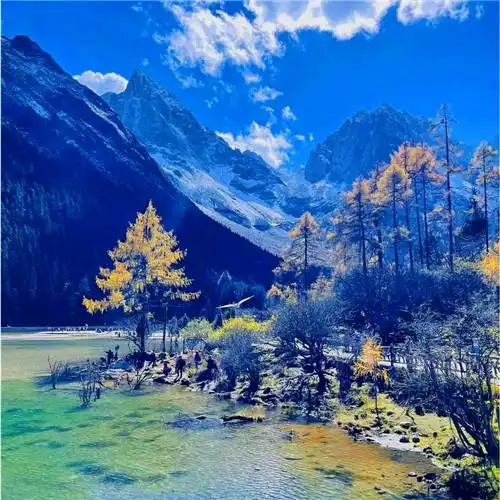 抖音图片最火头像风景
