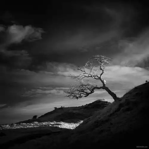 你没错,是我爱多了