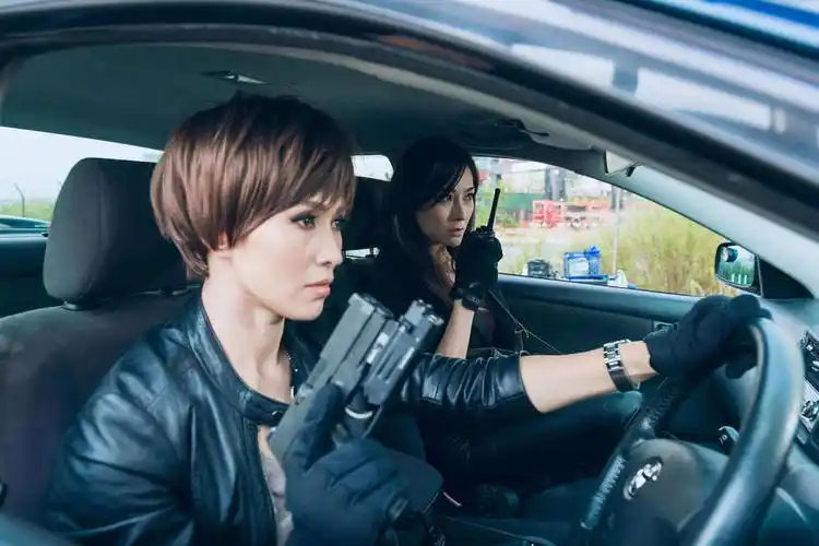 辣警霸王花:澳门行动 不义之战