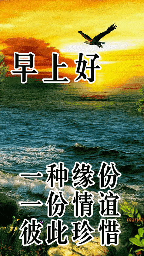 早安,我的朋友.