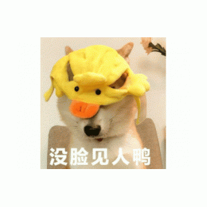 没脸见人鸭